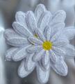 Custi Embroidered Iron on Flower 3x Patches